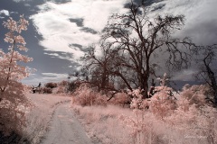 INFRARED_VOLCAN_MOUNT_SEPT_02_2019_695-48_FINAL_10