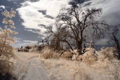 INFRARED_VOLCAN_MOUNT_SEPT_02_2019_695-48_FINAL_17