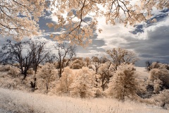 INFRARED_VOLCAN_MOUNT_SEPT_02_2019_695-58_FINAL_17