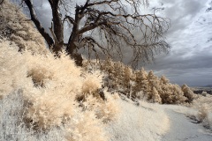 INFRARED_VOLCAN_MOUNT_SEPT_02_2019_695-66_FINAL_17