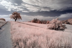 INFRARED_VOLCAN_MOUNT_SEPT_02_2019_695-76_FINAL_10