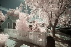 INFRARED_JULIAN_AUG03_2019_720-1_FINAL_10