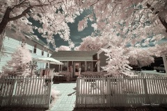 INFRARED_JULIAN_AUG03_2019_720-4_FINAL_10