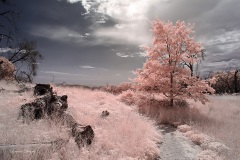 INFRARED_VOLCAN_MOUNT_SEPT_02_2019_695-14_FINAL_10