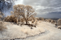 INFRARED_VOLCAN_MOUNT_SEPT_02_2019_695-19_FINAL_17