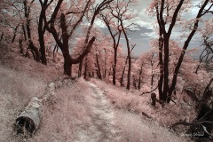 INFRARED_VOLCAN_MOUNT_SEPT_02_2019_695-3_FINAL_10