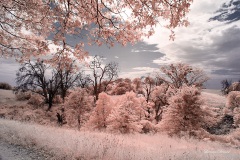 INFRARED_VOLCAN_MOUNT_SEPT_02_2019_695-56_FINAL_10