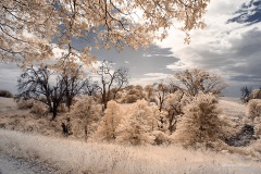 INFRARED_VOLCAN_MOUNT_SEPT_02_2019_695-56_FINAL_17