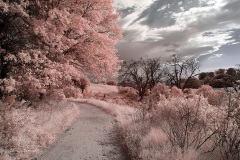 INFRARED_VOLCAN_MOUNT_SEPT_02_2019_695-75_FINAL_10