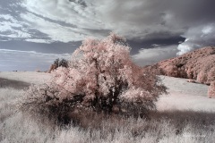 INFRARED_VOLCAN_MOUNT_SEPT_02_2019_695-80_FINAL_10