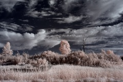 INFRARED_CUYAMACA_AUG03_2019_695-13_FINAL_10