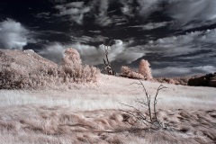 INFRARED_CUYAMACA_AUG03_2019_695-8_FINAL_10