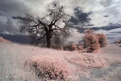 INFRARED_VOLCAN_MOUNT_SEPT_02_2019_695-35_FINAL_10