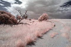 INFRARED_VOLCAN_MOUNT_SEPT_02_2019_695-39_FINAL_10