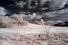 INFRARED_CUYAMACA_AUG03_2019_695-10_FINAL_10