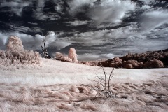 INFRARED_CUYAMACA_AUG03_2019_695-11_FINAL_10