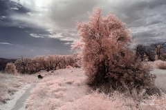 INFRARED_VOLCAN_MOUNT_SEPT_02_2019_695-12_FINAL_10