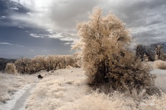 INFRARED_VOLCAN_MOUNT_SEPT_02_2019_695-12_FINAL_17