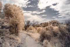 INFRARED_VOLCAN_MOUNT_SEPT_02_2019_695-60_FINAL_17