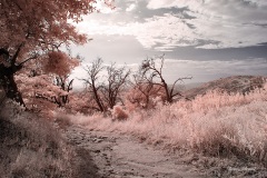 INFRARED_VOLCAN_MOUNT_SEPT_02_2019_695-85_FINAL_10