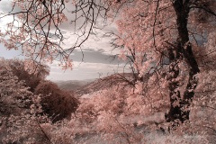 INFRARED_VOLCAN_MOUNT_SEPT_02_2019_695-93_FINAL_10