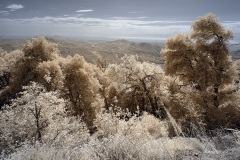 INFRARED_PALOMAR_MOUNT_SEPT_01_2019_695-23_FINAL_16