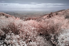 INFRARED_PALOMAR_MOUNT_SEPT_01_2019_695-62_FINAL_10