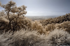 INFRARED_PALOMAR_MOUNT_SEPT_01_2019_695-74_FINAL_16