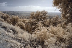 INFRARED_PALOMAR_MOUNT_SEPT_01_2019_695-76_FINAL_16