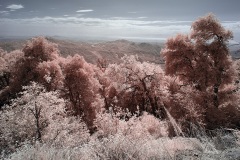 INFRARED_PALOMAR_MOUNT_SEPT_01_2019_695-23_FINAL_10