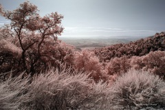 INFRARED_PALOMAR_MOUNT_SEPT_01_2019_695-74_FINAL_10