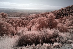 INFRARED_PALOMAR_MOUNT_SEPT_01_2019_695-78_FINAL_10