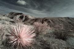 INFRARED_CEDAR_CREEK_JAN18_2019-14_FINAL_01