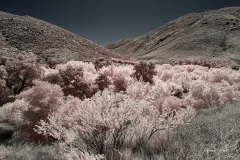 INFRARED_CEDAR_CREEK_JUNE9_2019-38_FINAL_10