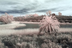 INFRARED_LAKE_MIRAMAR_695_JAN20_2019-16_FINAL_02