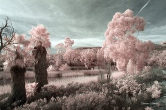 INFRARED_LAKE_MIRAMAR_695_JAN20_2019-30_FINAL_02