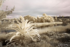 INFRARED_LAKE_MIRAMAR_695_JAN20_2019-32_FINAL_01