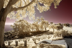 INFRARED_POINT_LOMA_JAN_22_2019-2_FINAL_03