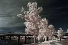 INFRARED_BALBOA_PARK_SANTEE_LAKE_695_DEC_02_2018-103_FINAL_10