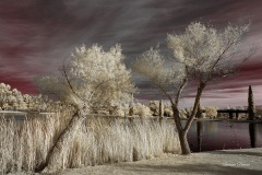 INFRARED_BALBOA_PARK_SANTEE_LAKE_695_DEC_02_2018-114_FINAL_07