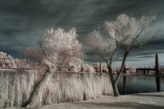 INFRARED_BALBOA_PARK_SANTEE_LAKE_695_DEC_02_2018-114_FINAL_10