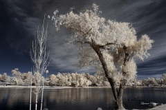 INFRARED_BALBOA_PARK_SANTEE_LAKE_695_DEC_02_2018-116_FINAL_06