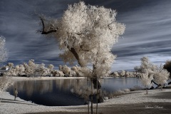 INFRARED_BALBOA_PARK_SANTEE_LAKE_695_DEC_02_2018-119_FINAL_06