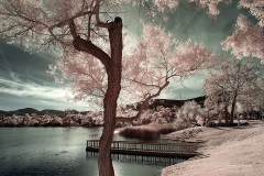 INFRARED_BALBOA_PARK_SANTEE_LAKE_695_DEC_02_2018-133_FINAL_10