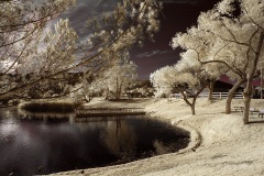 INFRARED_BALBOA_PARK_SANTEE_LAKE_695_DEC_02_2018-136_FINAL_07