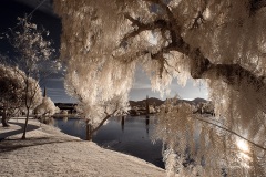 INFRARED_BALBOA_PARK_SANTEE_LAKE_695_DEC_02_2018-140_FINAL_06