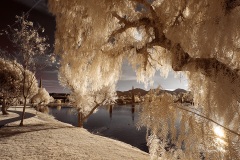 INFRARED_BALBOA_PARK_SANTEE_LAKE_695_DEC_02_2018-140_FINAL_07