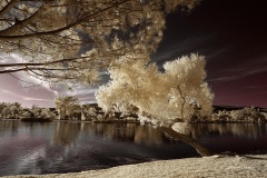 INFRARED_BALBOA_PARK_SANTEE_LAKE_695_DEC_02_2018-145_FINAL_07