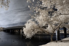 INFRARED_BALBOA_PARK_SANTEE_LAKE_695_DEC_02_2018-104_FINAL_06