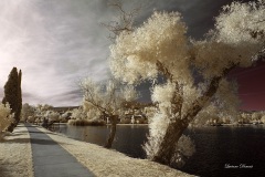 INFRARED_BALBOA_PARK_SANTEE_LAKE_695_DEC_02_2018-109_FINAL_07